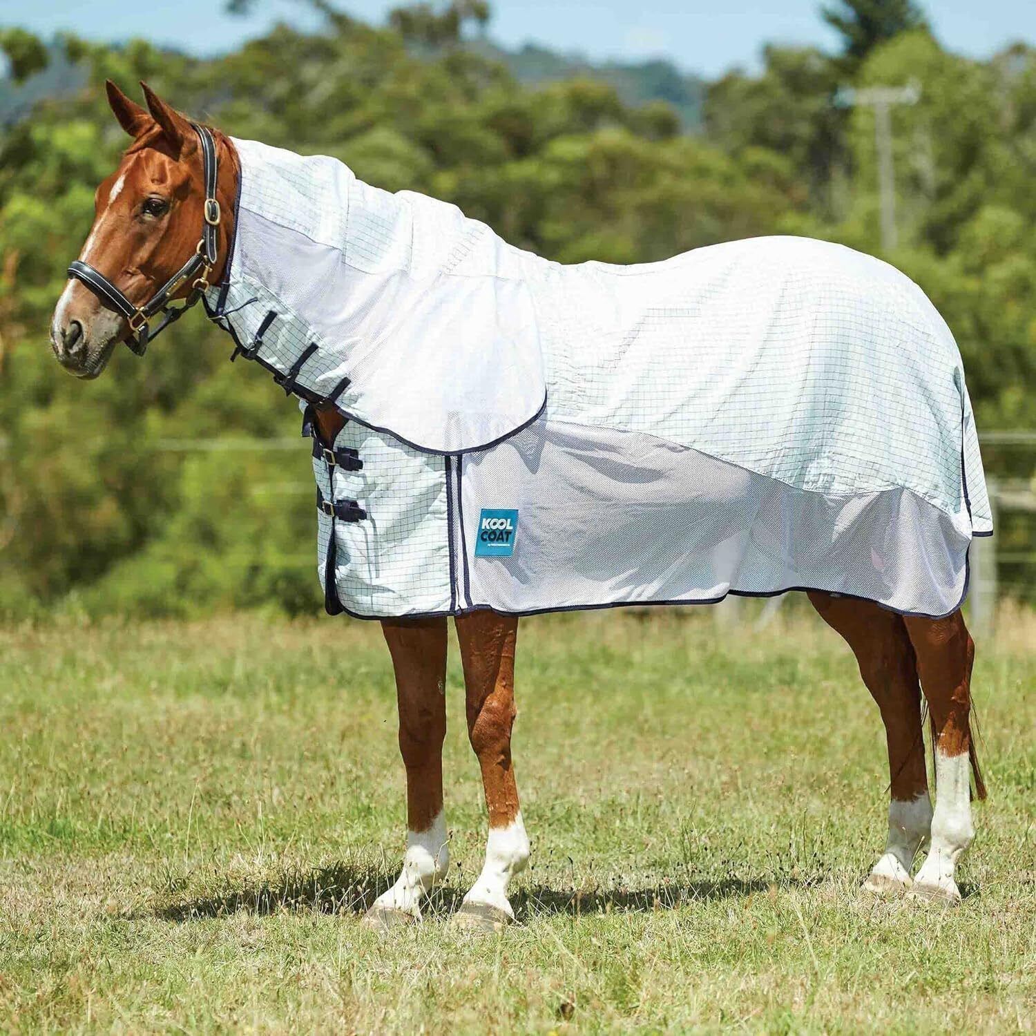 Picture of Kool Coat Airstream Horse Rug, Summer Sheet,With Hidden Surcingle III combo Neck