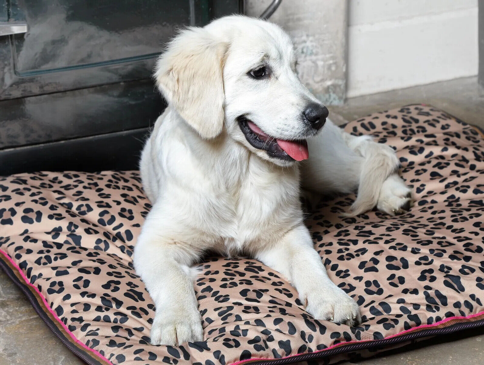 Picture of Shires Digby & Fox Waterproof Dog Bed | 2 Sizes | 4 Colours