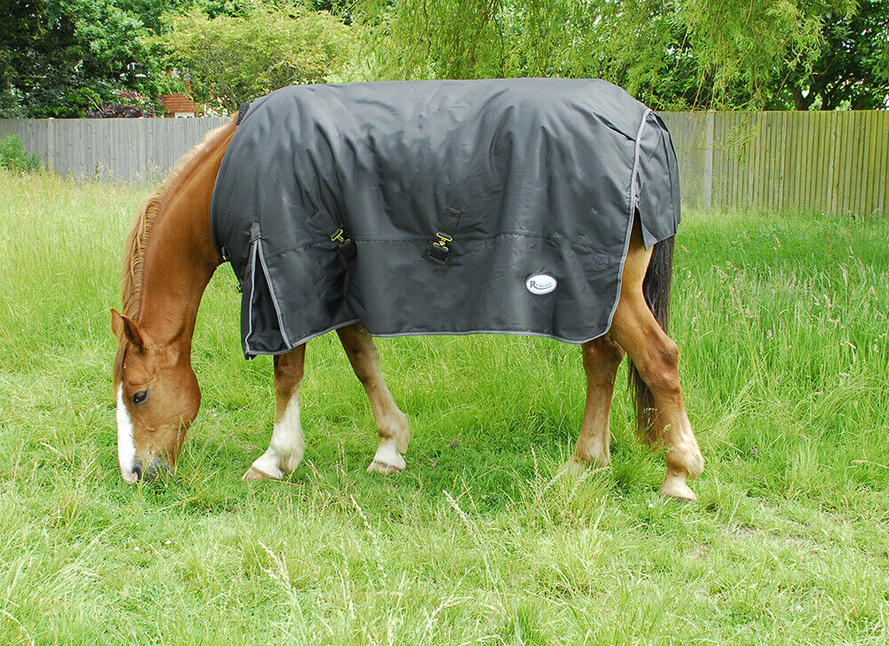 Picture of Rhinegold Konig 200G  Mediumweight Horse Turnout Rug 600 Denier Waterproof