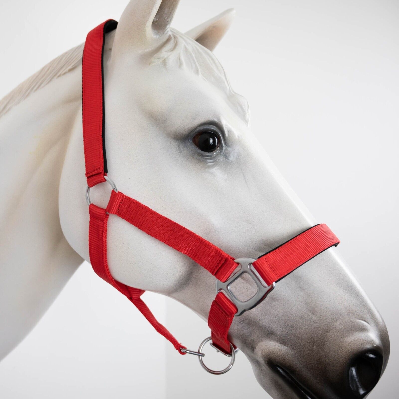 Picture of Gallop Padded Premium Headcollar Heavy Duty Fittings, Adjustable, Clip Fastening