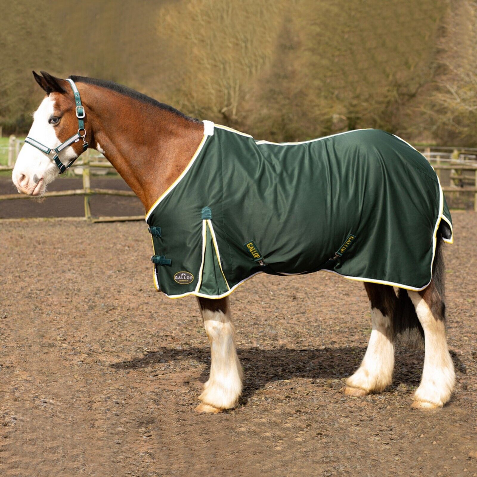 Picture of Gallop Summer Sheet Standard Neck, Horse Rug, Lightweight,