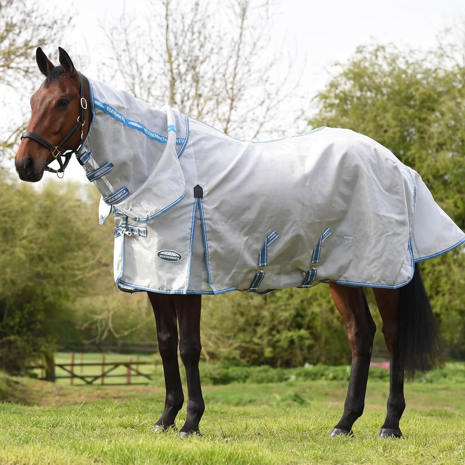 Picture of WeatherBeeta ComFiTec Hexi Shield Fly Horse Rug, Combo Full Neck, Belly Band