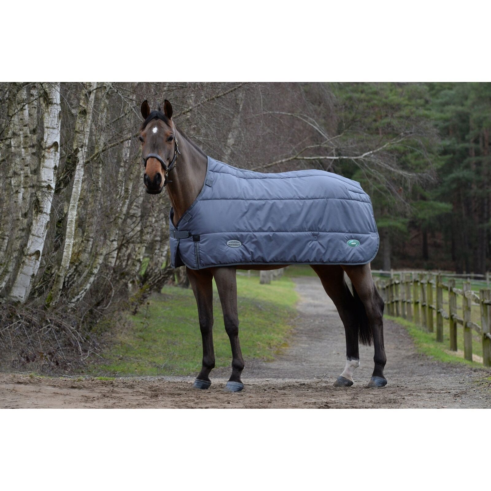 Picture of Weatherbeeta Green-Tec Horse Rug Liner, 100g, 200, 300g. Grey. Lite/Medium/Heavy