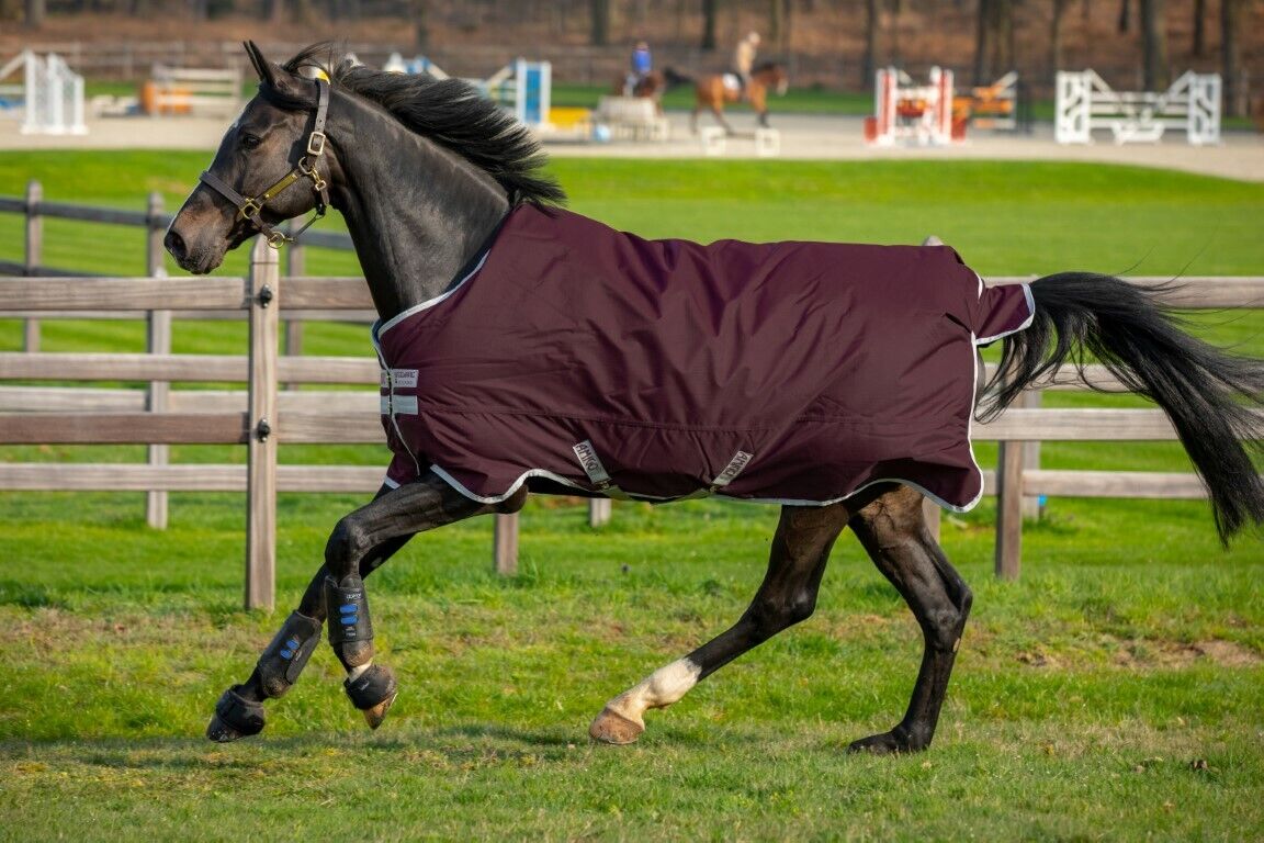 Picture of Horseware Amigo Hero 200g Standard Neck Horse Turnout Rug Mediumweight 600D