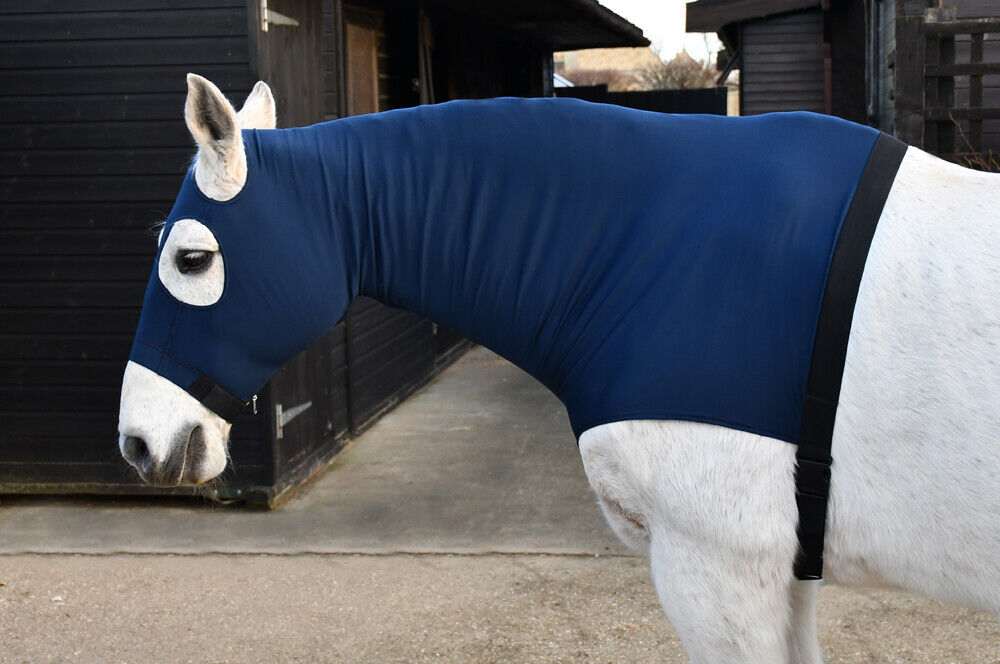 Picture of Rhinegold Lycra Hood with Face Horse Neck Cover | Pony, Cob, Full | Navy