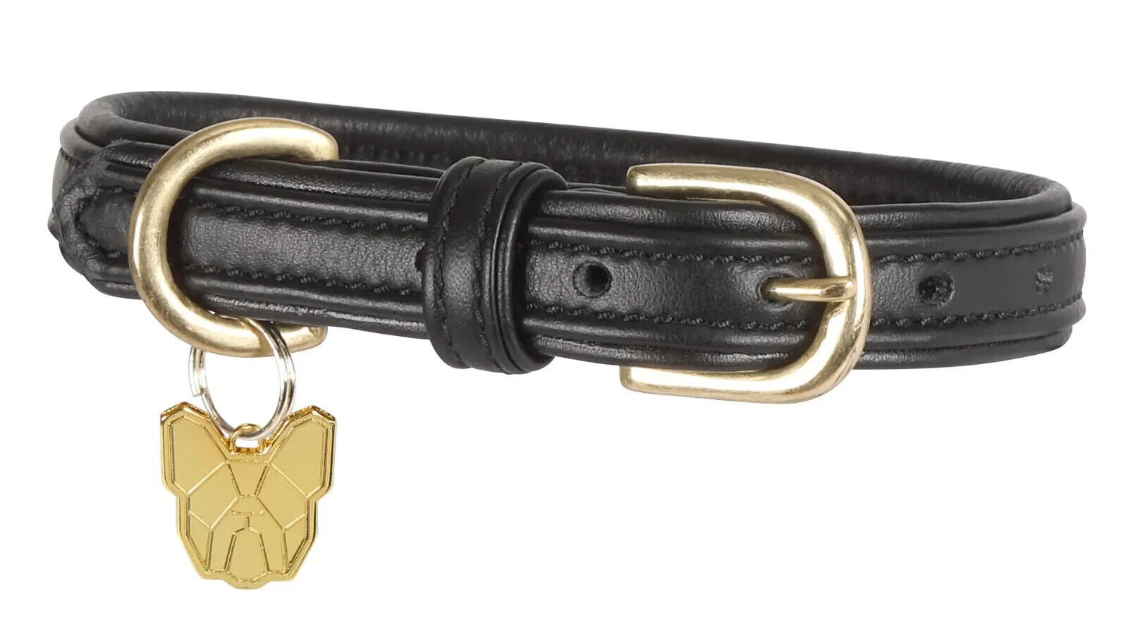 Picture of Shires Digby & Fox Padded Leather Dog Collar | 8 Sizes | 7 Colours