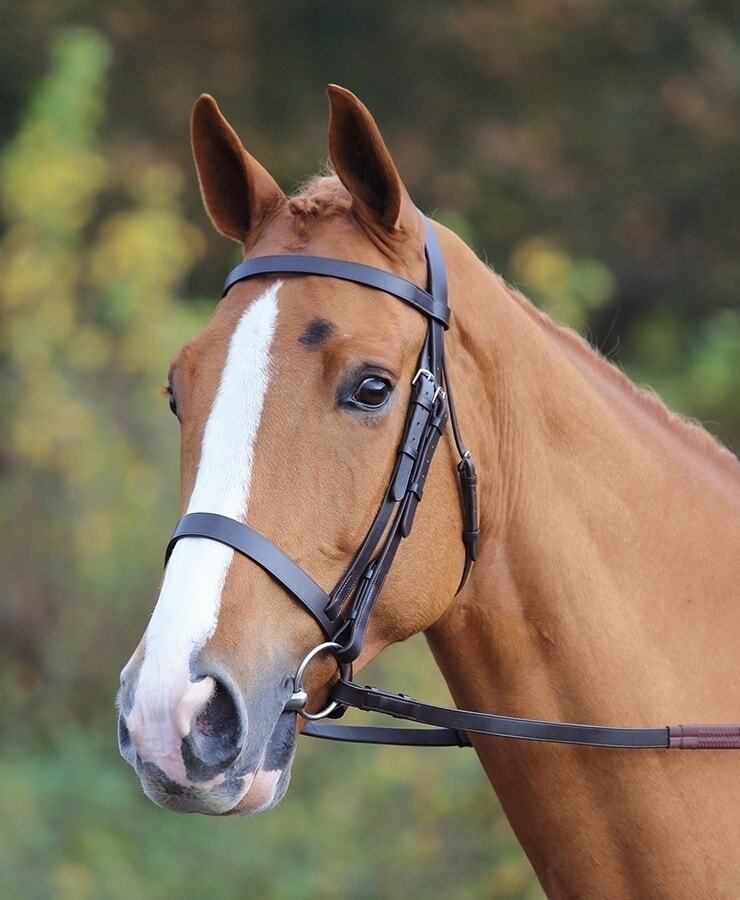 Picture of Shires Velociti Gara Plain Leather Bridle | 2 Colours | 6 Sizes
