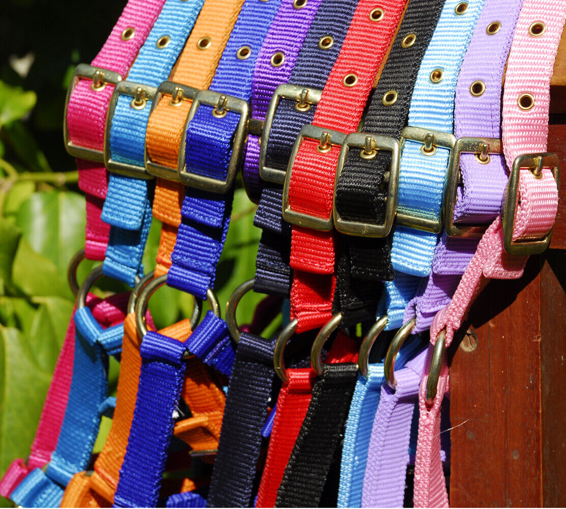 Picture of Rhinegold Nylon Foal Headcollar | Adjustable | 11 Colours