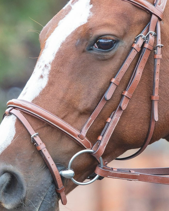Picture of Shires Avignon Padded Raised Flash Leather Noseband |  3 Colours