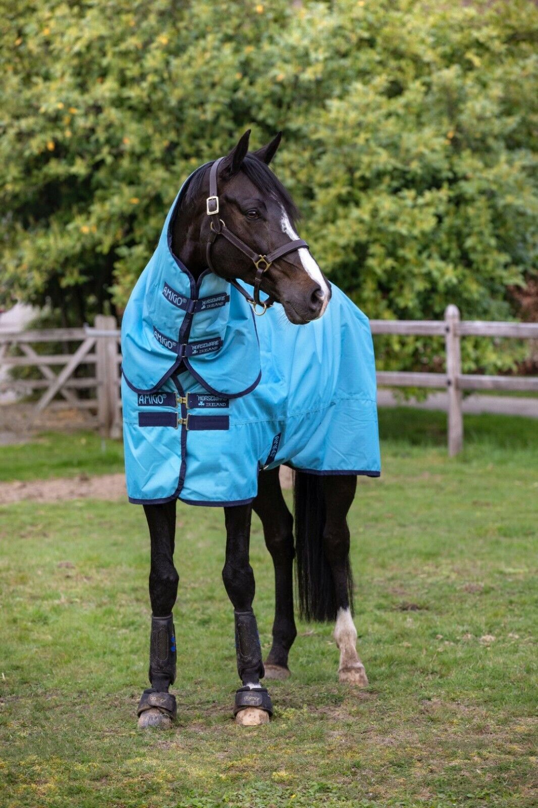 Picture of Horseware Amigo Hero Ripstop Plus 100g Turnout Rug Detachable Neck