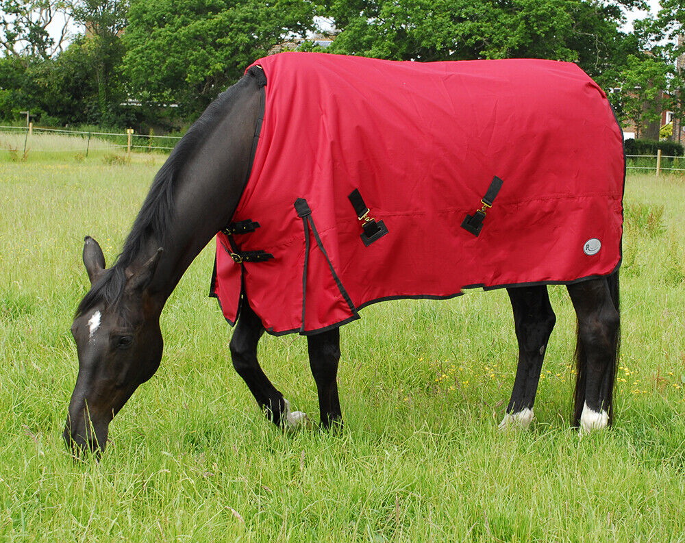 Picture of Rhinegold Konig 200G  Mediumweight Horse Turnout Rug 600 Denier Waterproof