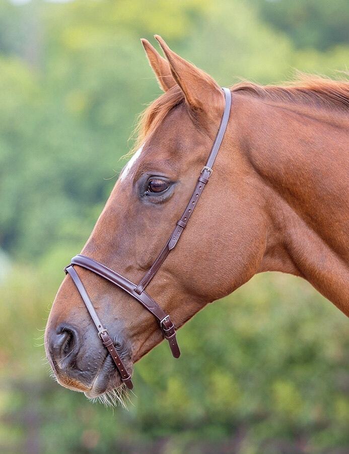 Picture of Shires Velociti Gara Leather Flash Noseband | 2 Colours | 3 Sizes