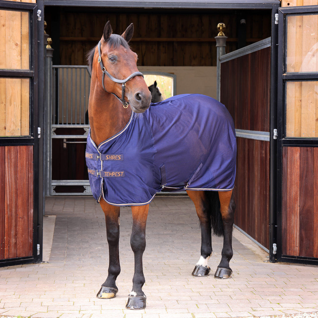 Picture of Shires Tempest Original Mesh Cooler / Travel Rug, 5'0" - 7'0"