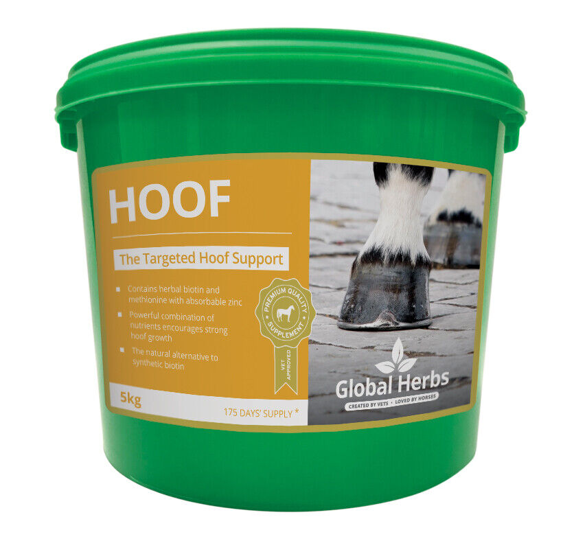 Picture of Global Herbs Hoof Powder, 1kg Tub,  Hoof Supplements for Horses/Ponies