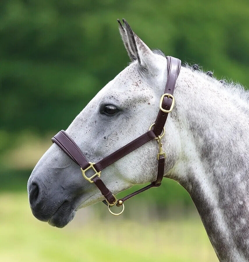 Picture of Shires Velociti GARA Leather Travel Headcollar | Black / Havana | 4 Sizes