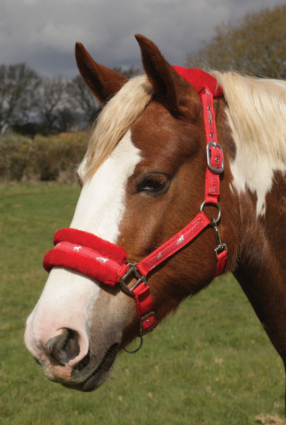 Picture of Rhinegold Logo Headcollar Fleece Trim | 3 Colours | 4 Sizes | Adjustable