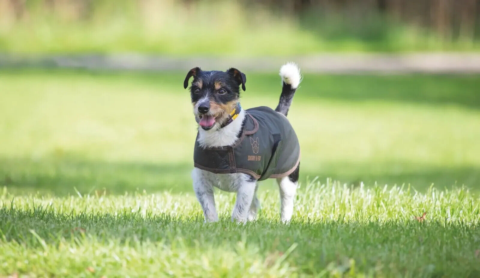 Picture of Shires Digby & Fox Wax Dog Coat | Inner Lining | 9 Sizes