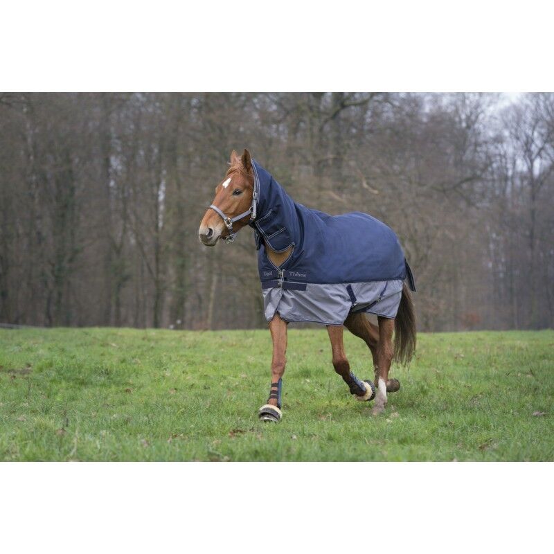 Picture of Ekkia Equi-Theme 350g, Horse Turnout Rug, Combo Fixed Neck, Tyrex 600 Denier