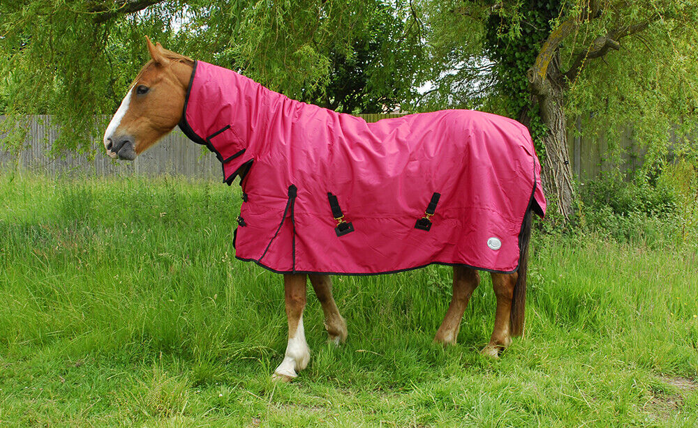 Picture of Rhinegold Konig 200G Fixed Neck Mediumweight Combo Horse Turnout Rug 600 Denier