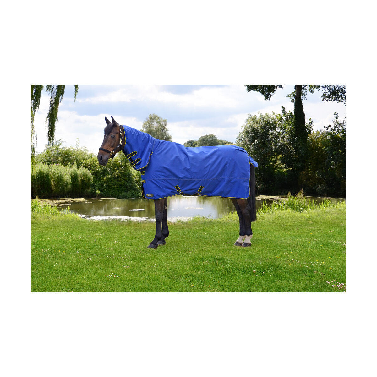 Picture of HY StormX Original 100g Horse Turnout Rug | Lightweight | Full Neck | Outdoor