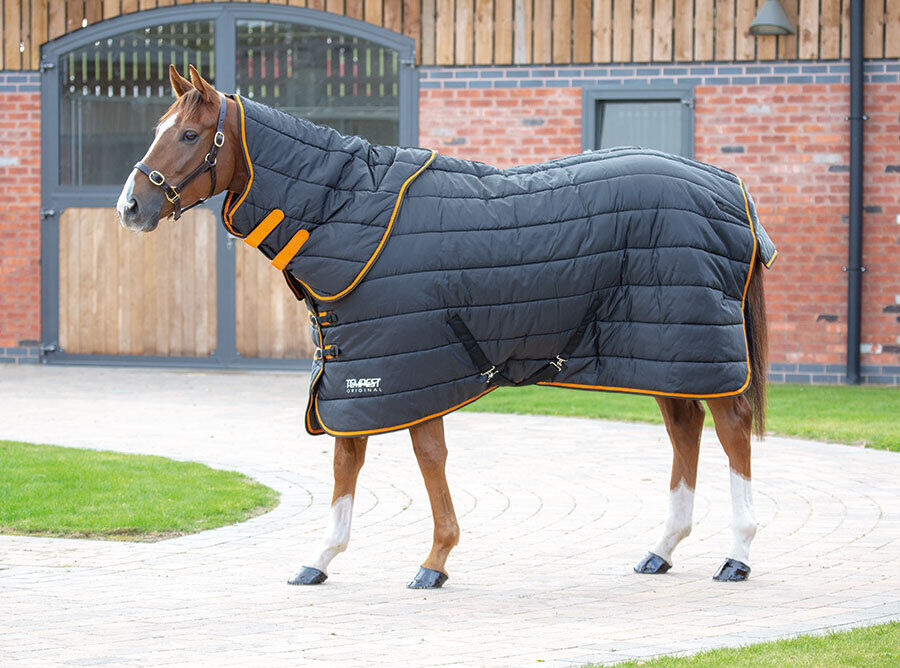 Picture of Shires Tempest Original 300G Horse Stable Rug & Neck Set | Black | 5'0"-7'0"