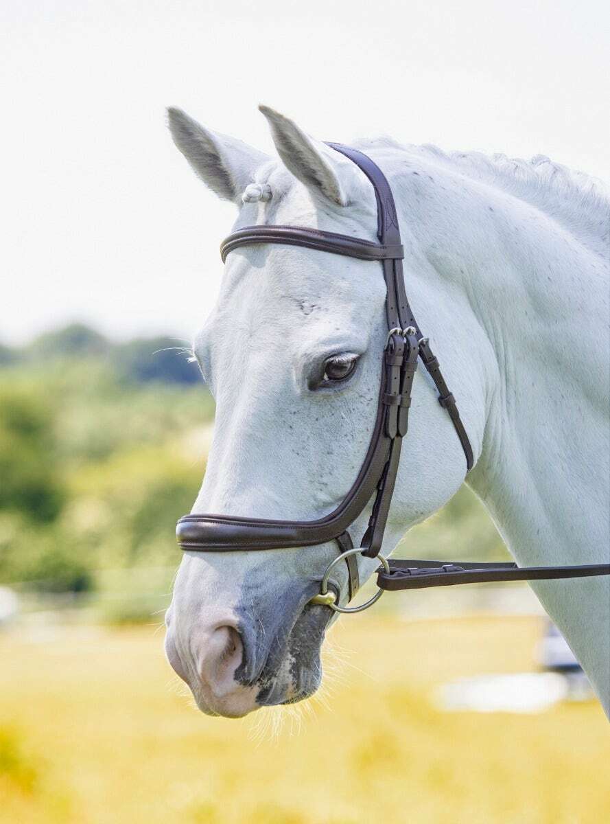 Picture of Shires Velociti Rapida Ergonomic Curved Cavesson Bridle | 2 Colours | 4 Sizes