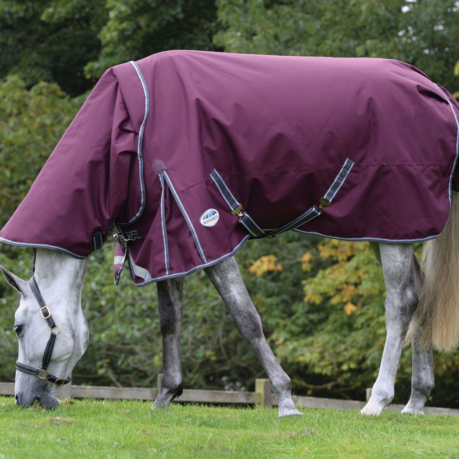 Picture of Weatherbeeta Comfitec Plus Dynamic II Turnout Rug Detach-a-Neck 1200D 360g Heavy