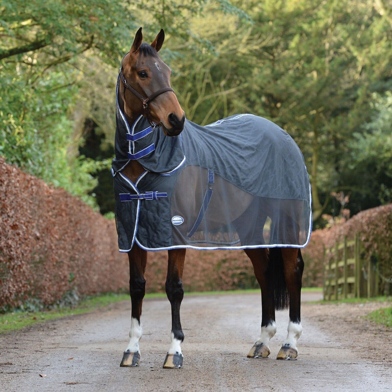 Picture of Weatherbeeta Wick Dri II Cooler/Travel Rug,  Combo Full Neck,