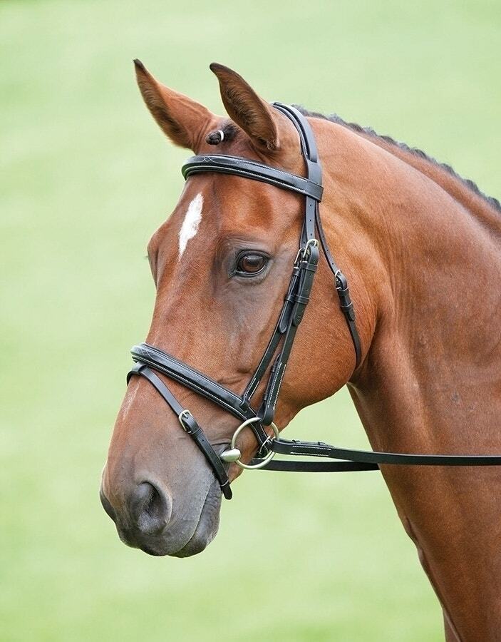 Picture of Shires Salisbury Bodenham Horse / Pony Snaffle Bridle |  Black or Aus Nut