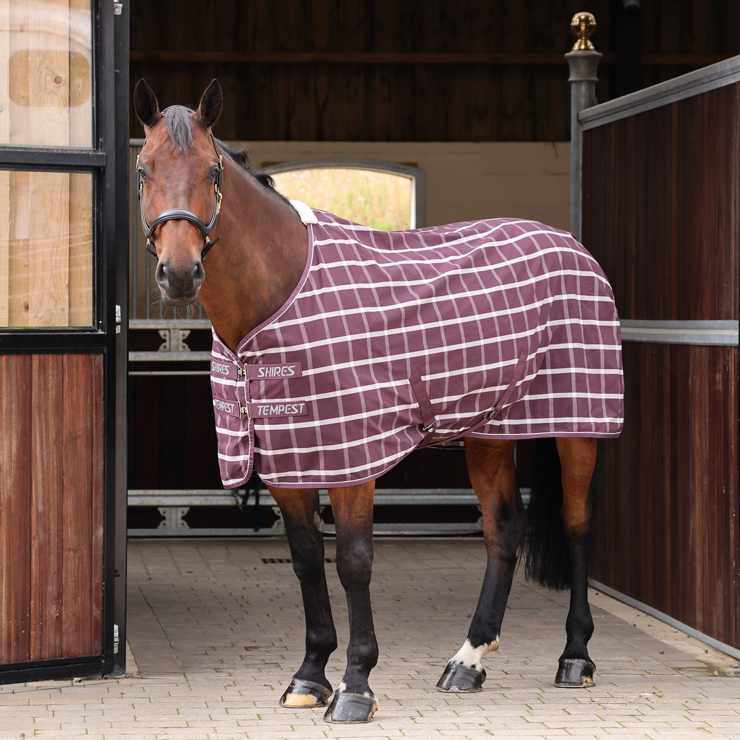 Picture of Shires Tempest Original Horse Stable Sheet |  5 Colours | Sizes 4'6"-7'0"