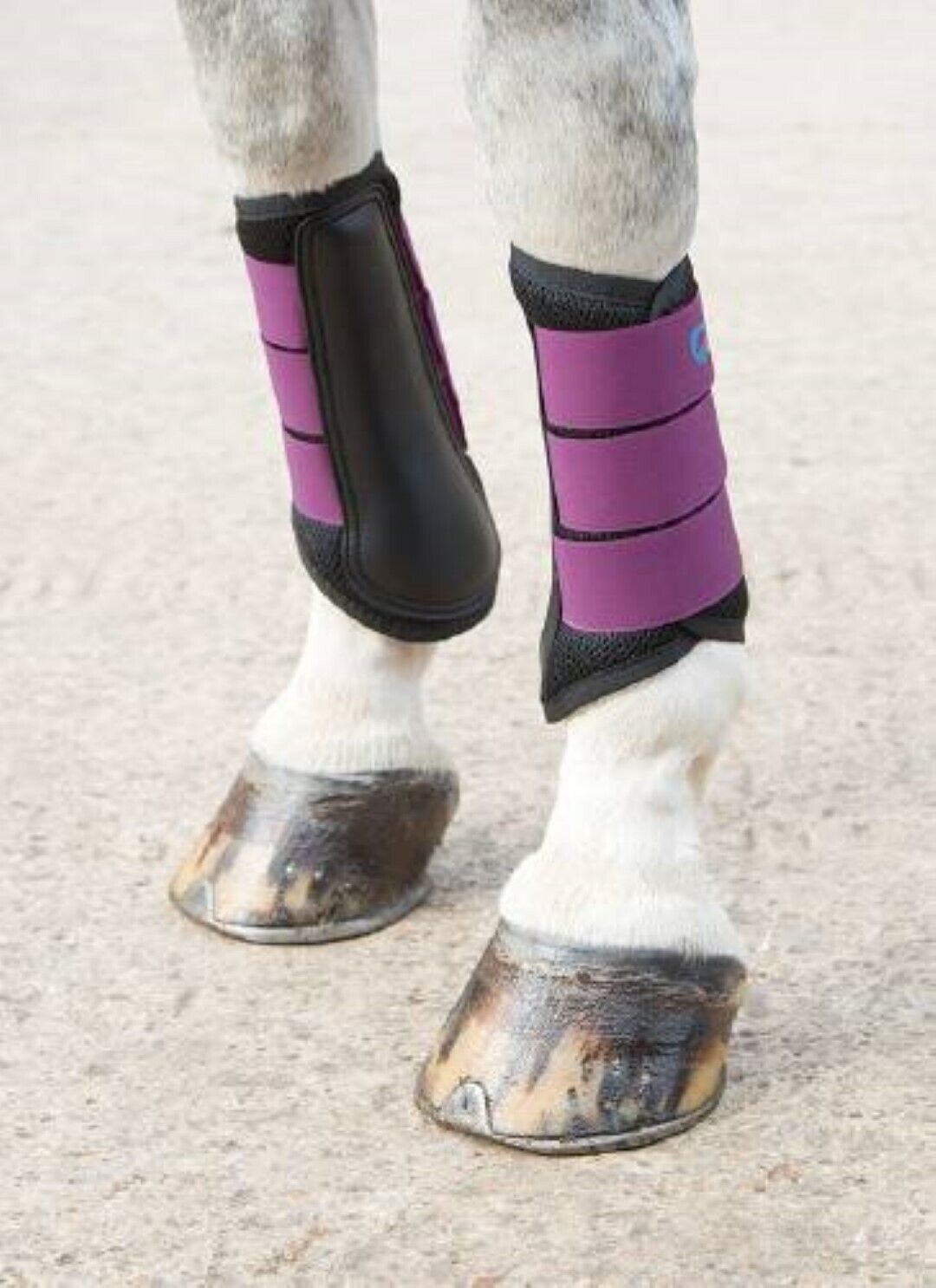 Picture of Shires Arma Air Motion Horse Brushing Boots | 7 Colours | 5 Sizes