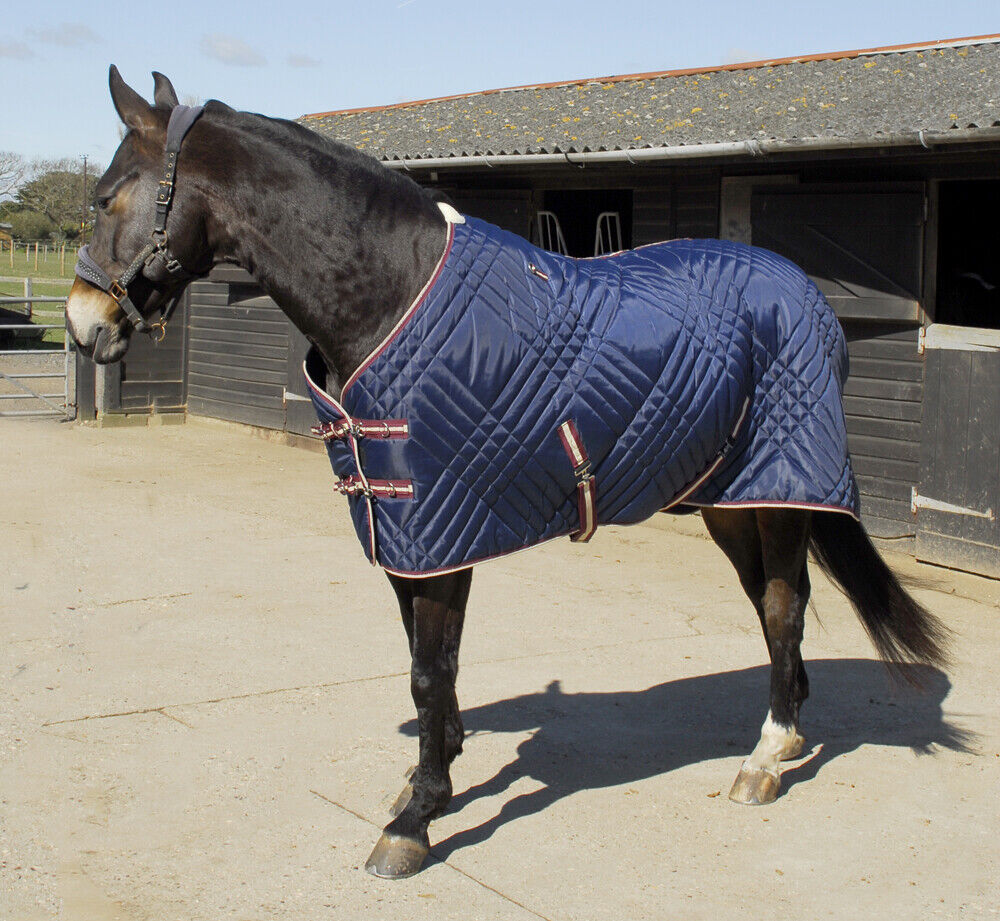 Picture of Rhinegold Dallas Chevron 200g Mediumweight Std Neck Stable Rug Blanket, Navy.