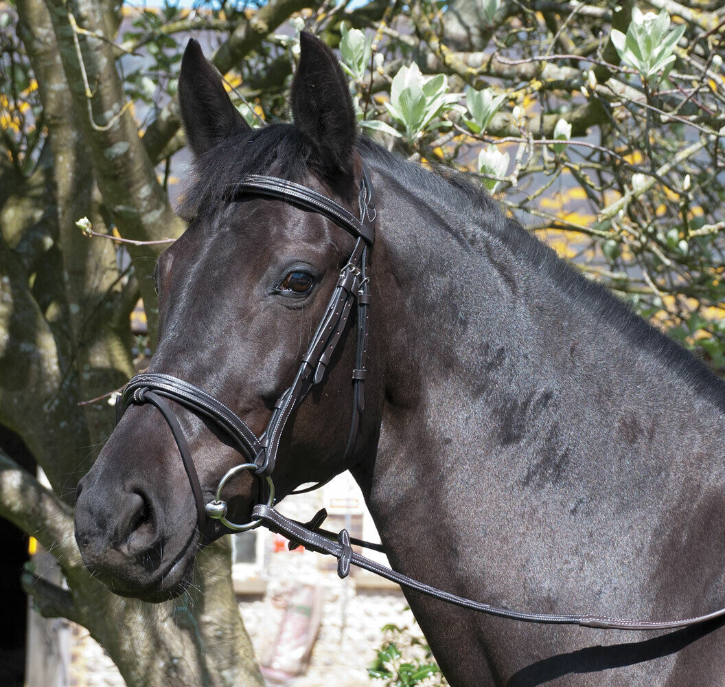 Picture of Rhinegold Elegance German Leather Bridle | Flash Noseband | Black or Havana