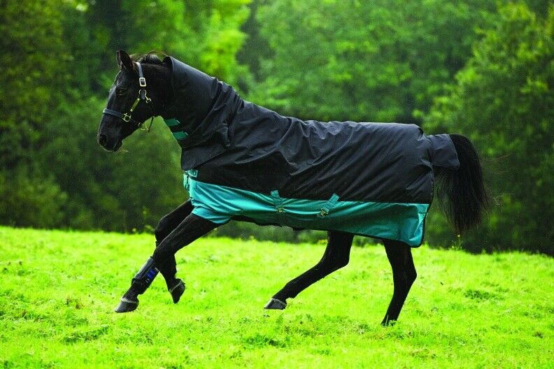 Picture of Horseware Mio 200g Horse Turnout Rug All In One Combo Full Neck Mediumweight