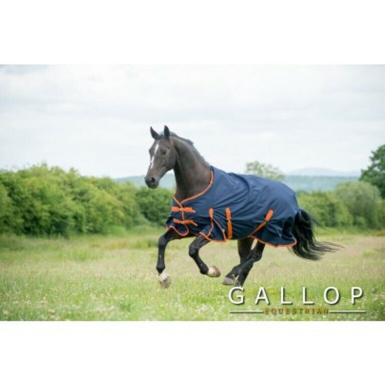 Picture of Gallop Trojan 100g Waterproof Horse Turnout Rug Light Medium Weight 600 Denier