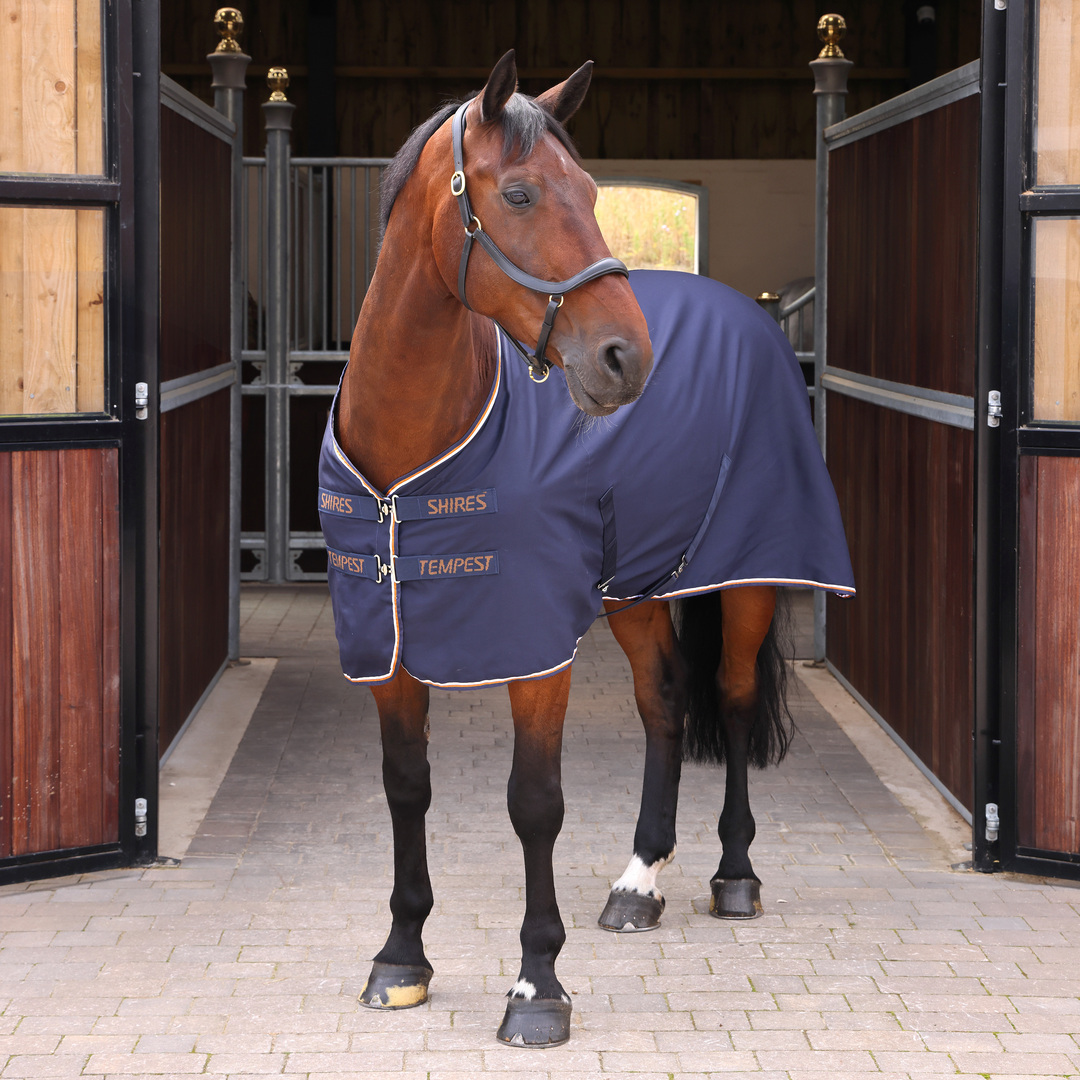 Picture of Shires Tempest Original Horse Stable Sheet |  5 Colours | Sizes 4'6"-7'0"