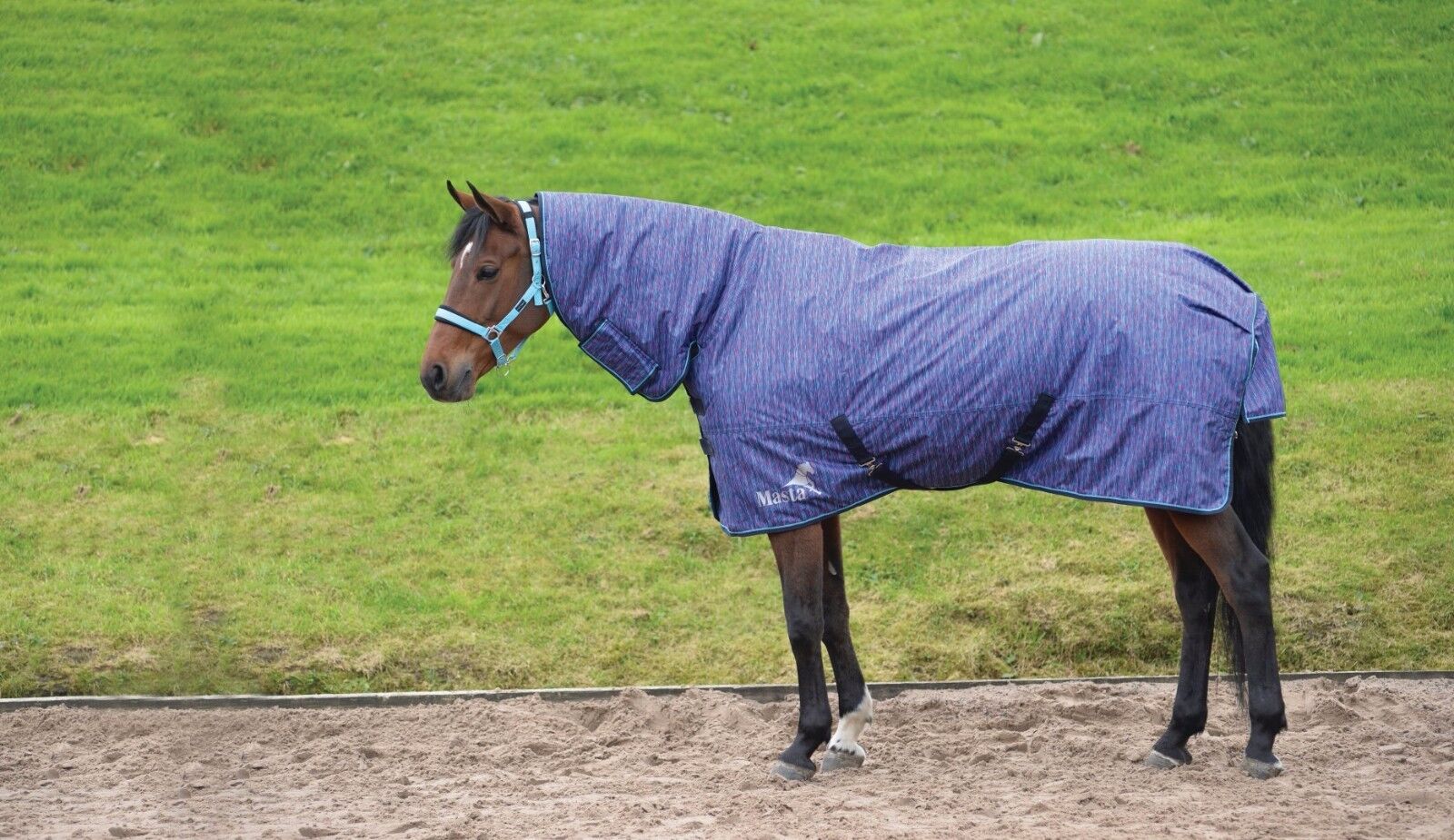 Picture of Masta Avante Heavyweight Rug 340g Fixed Neck Winter Turnout Rug Waterproof Combo