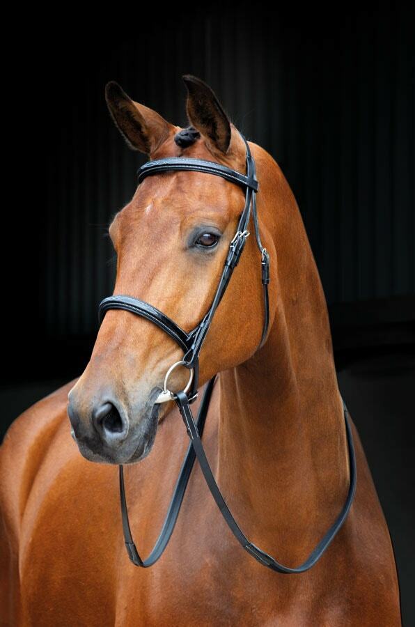 Picture of Shires Salisbury Fairford Horse / Pony Snaffle Bridle |  Black or Aus Nut