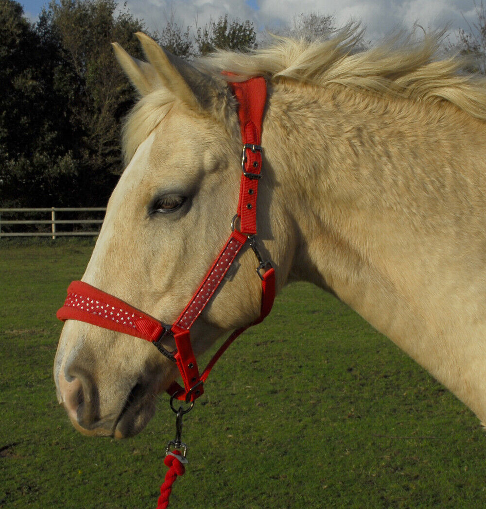 Picture of Rhinegold Star Spangled Headcollar & Rope Set | 4 Colours | Adjustable | 4 Sizes