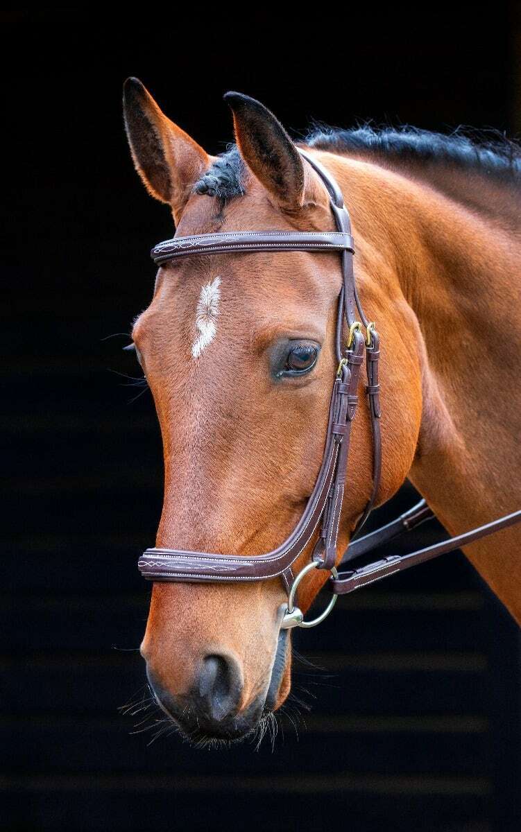 Picture of Shires Salisbury Berkeley Horse / Pony Snaffle Bridle  |  Black or Aus Nut