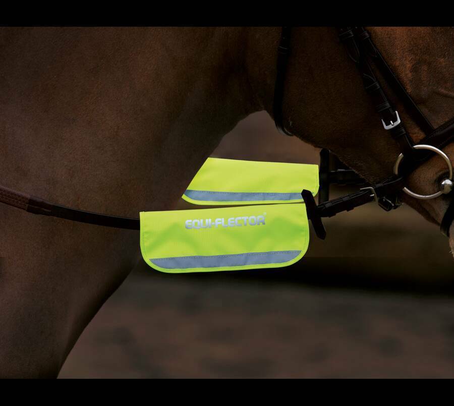 Picture of Shires Equi-Flector Horse/Pony Bridle Bands in Reflective | Pink, Orange Yellow