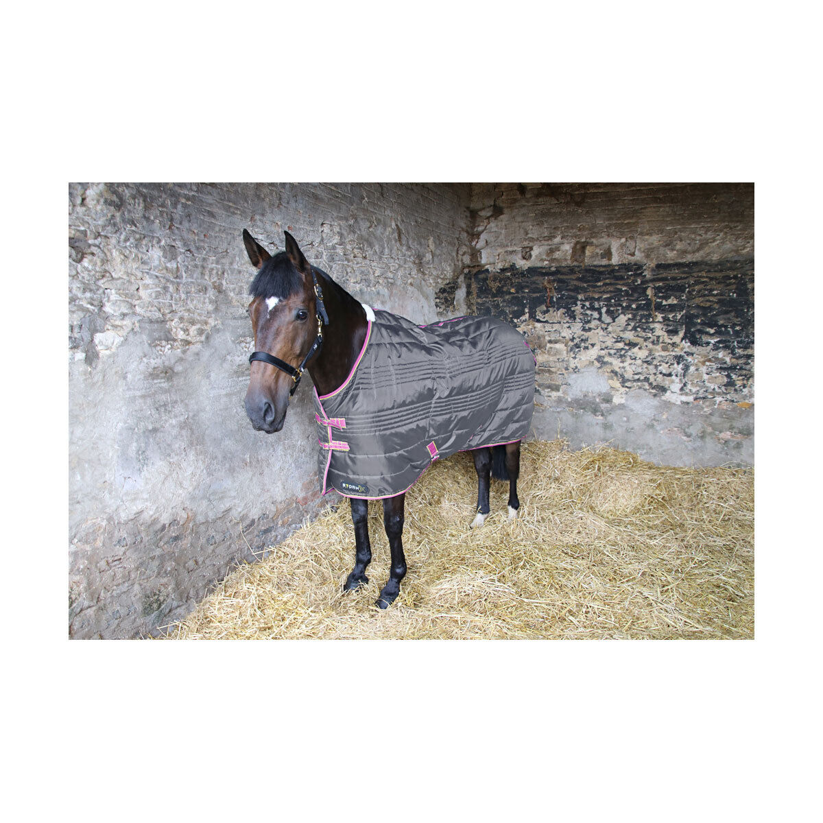 Picture of HY StormX Original 300g Horse Stable Rug | Heavyweight | Standard Neck