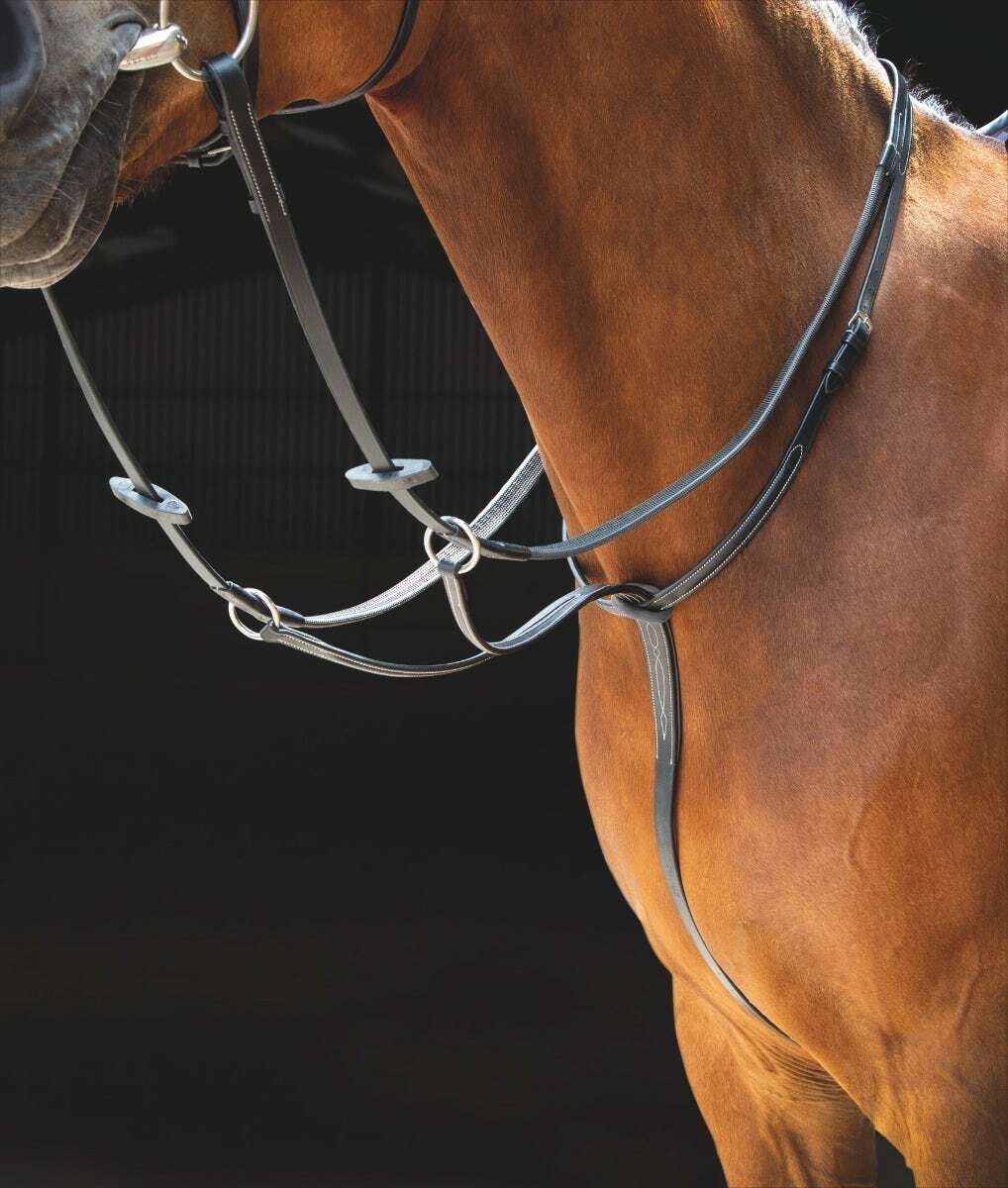 Picture of Shires Salisbury Leather Running Martingale | 2 Colours