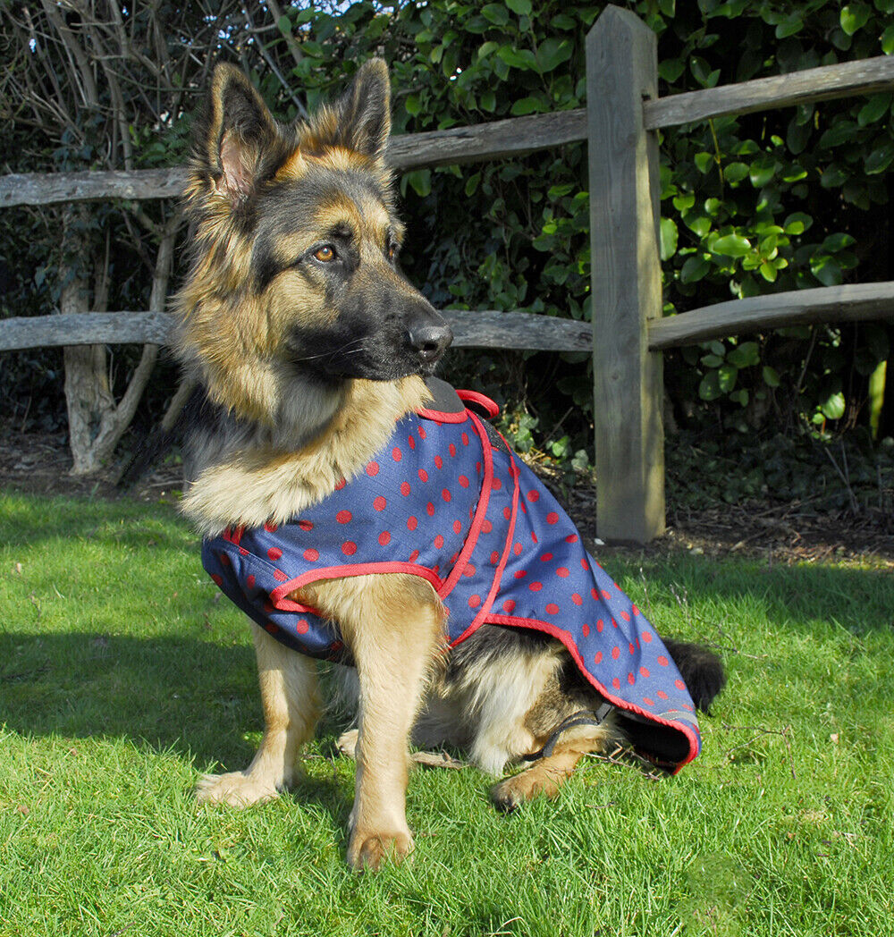 Picture of Rhinegold Highland Waterproof Dog Coat | Outdoor | XS-XXL | 2 Colours