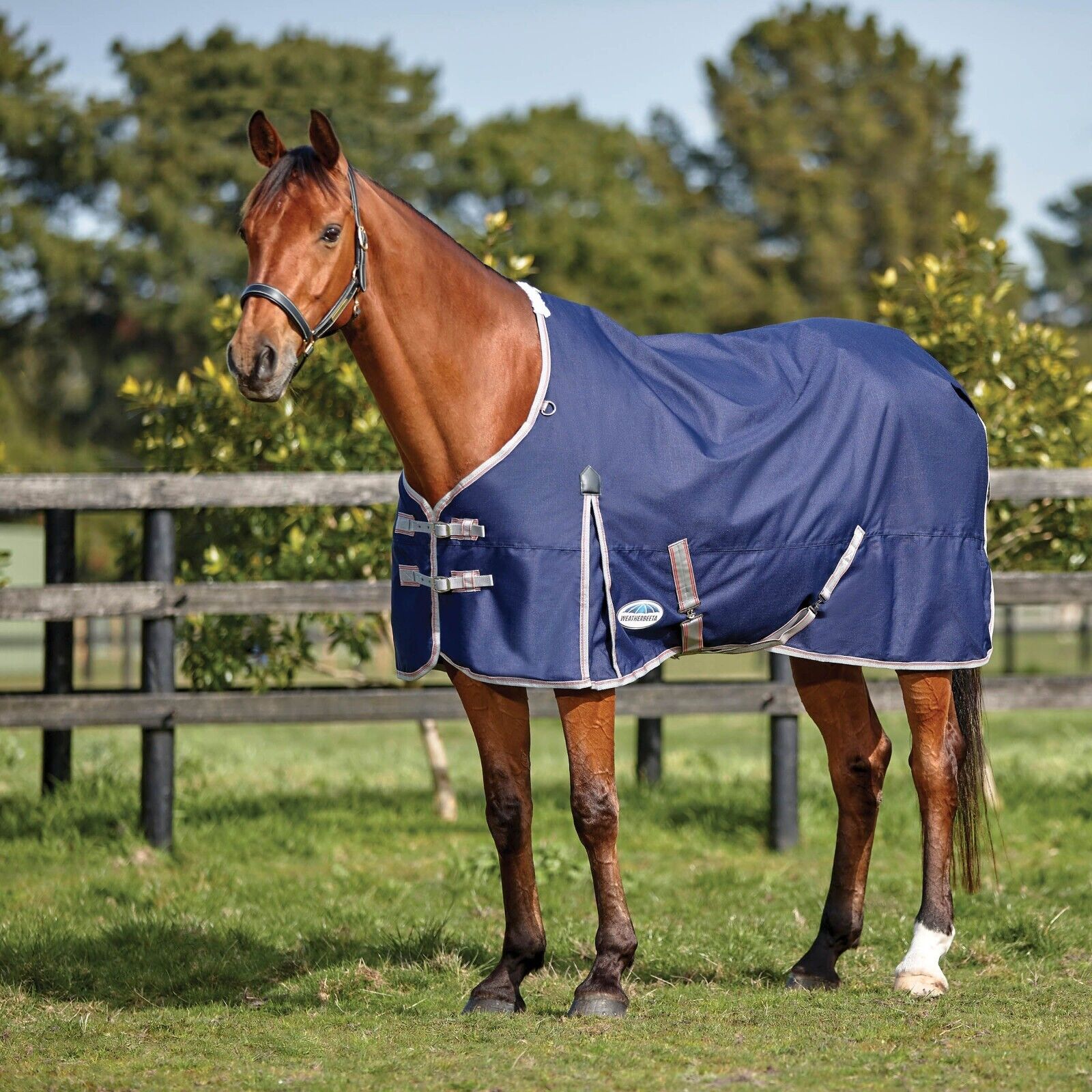 Picture of Weatherbeeta Comfitec Essential Turnout Rug 50g 1200D Lite Plus, Standard Neck