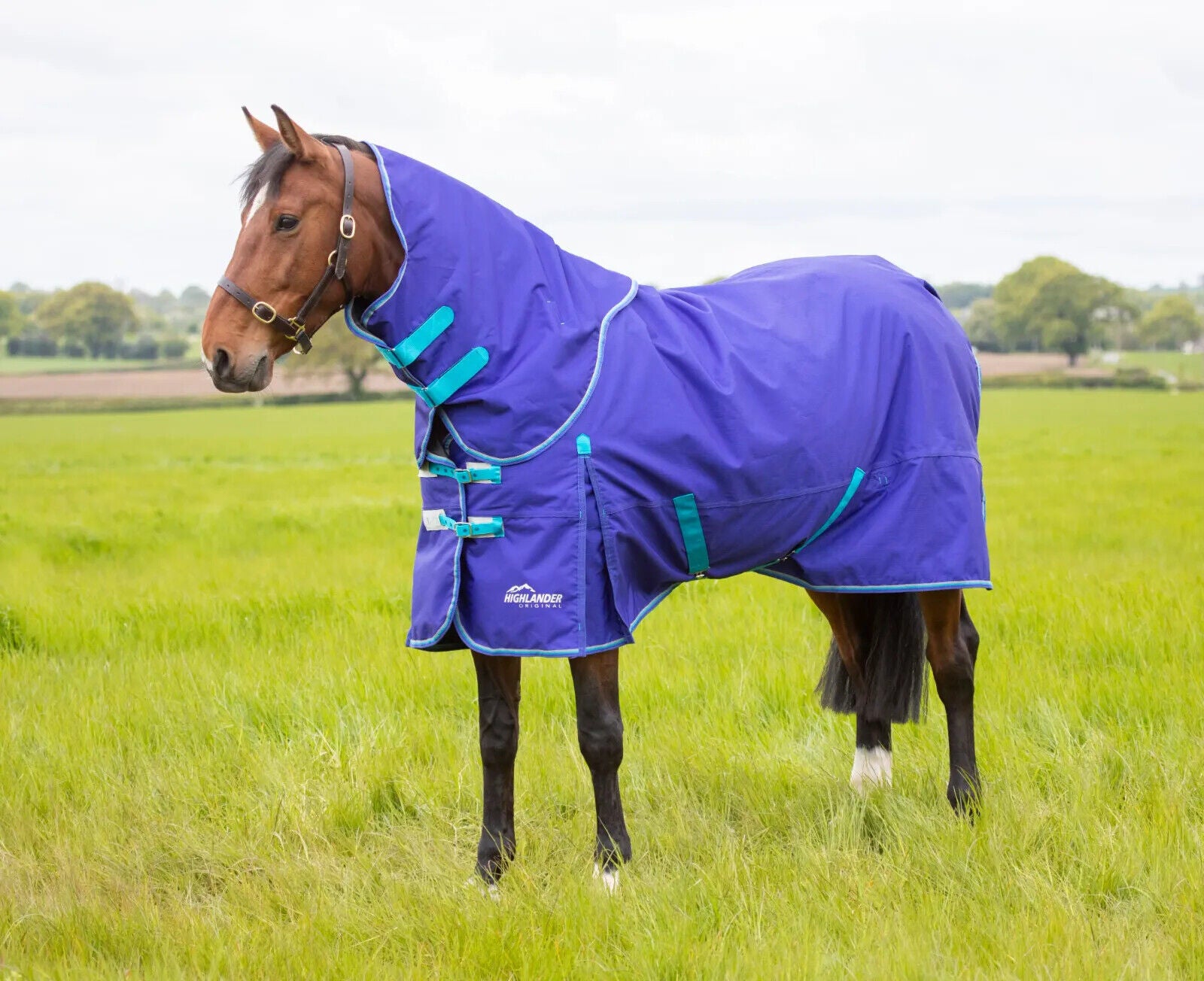 Shires Highlander Original 50g Horse Turnout Rug & Neck Set, Ocean, 5 ...
