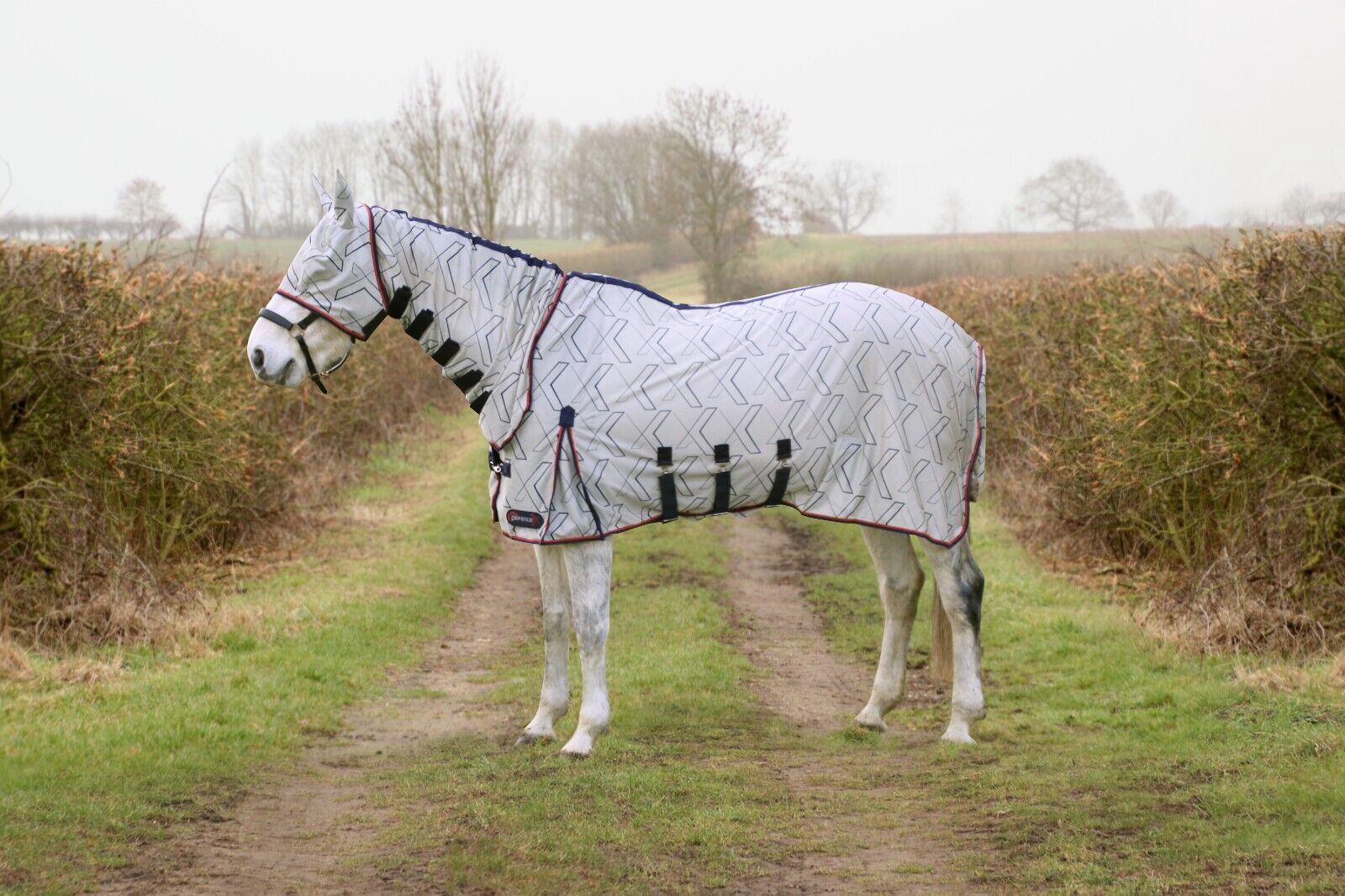 Picture of HY DefenceX Fly Rug System Guardian Horse/Pony Fly Rug & Fly Mask | 4'6" - 7'3"