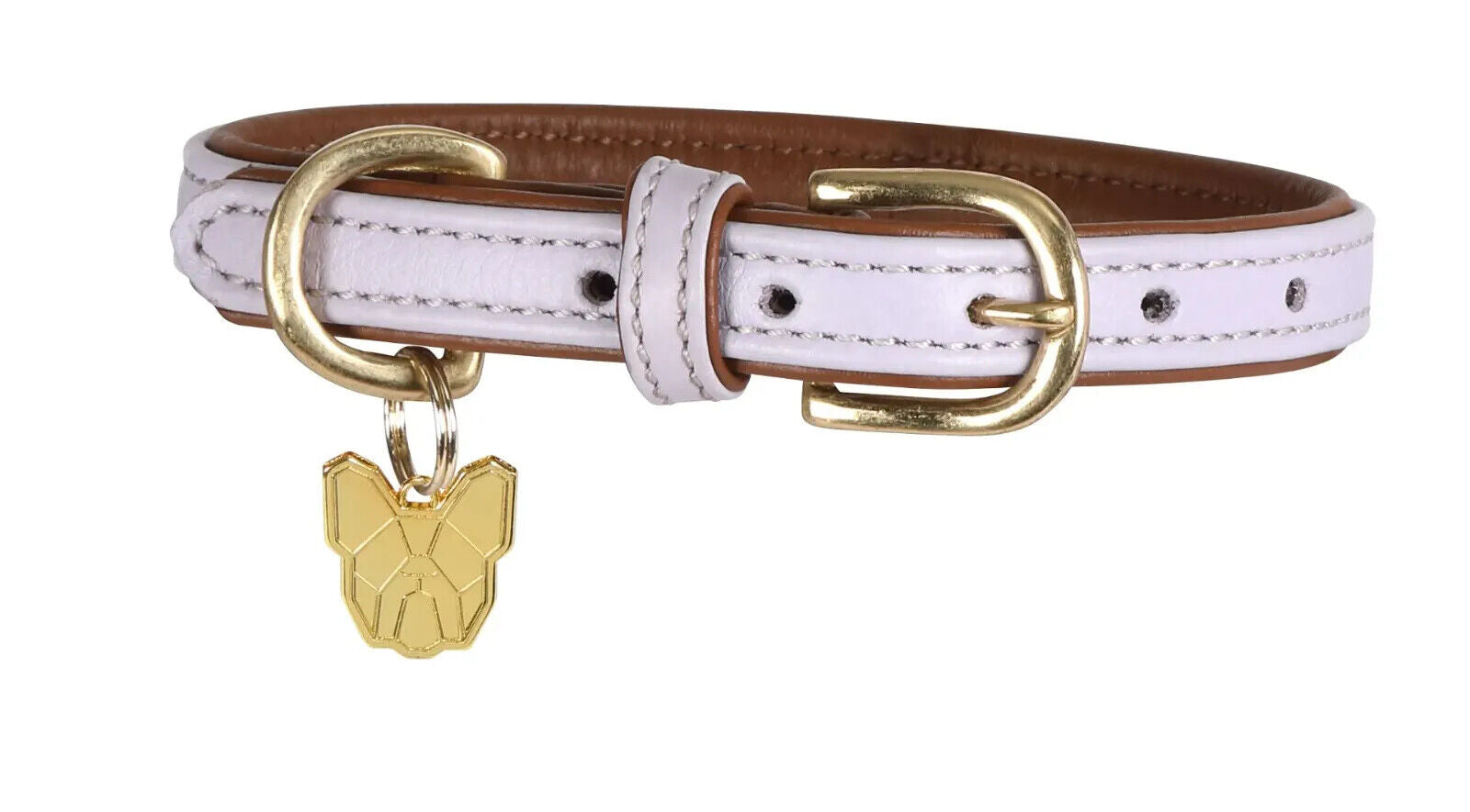 Picture of Shires Digby & Fox Padded Leather Dog Collar | 8 Sizes | 7 Colours