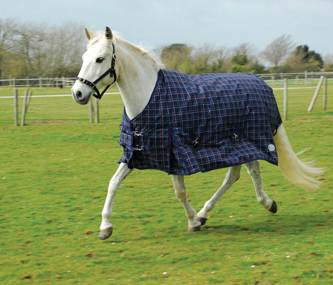 Picture of Rhinegold Zeus 350g Heavyweight 1000D Horse Turnout Rug in Navy Chk