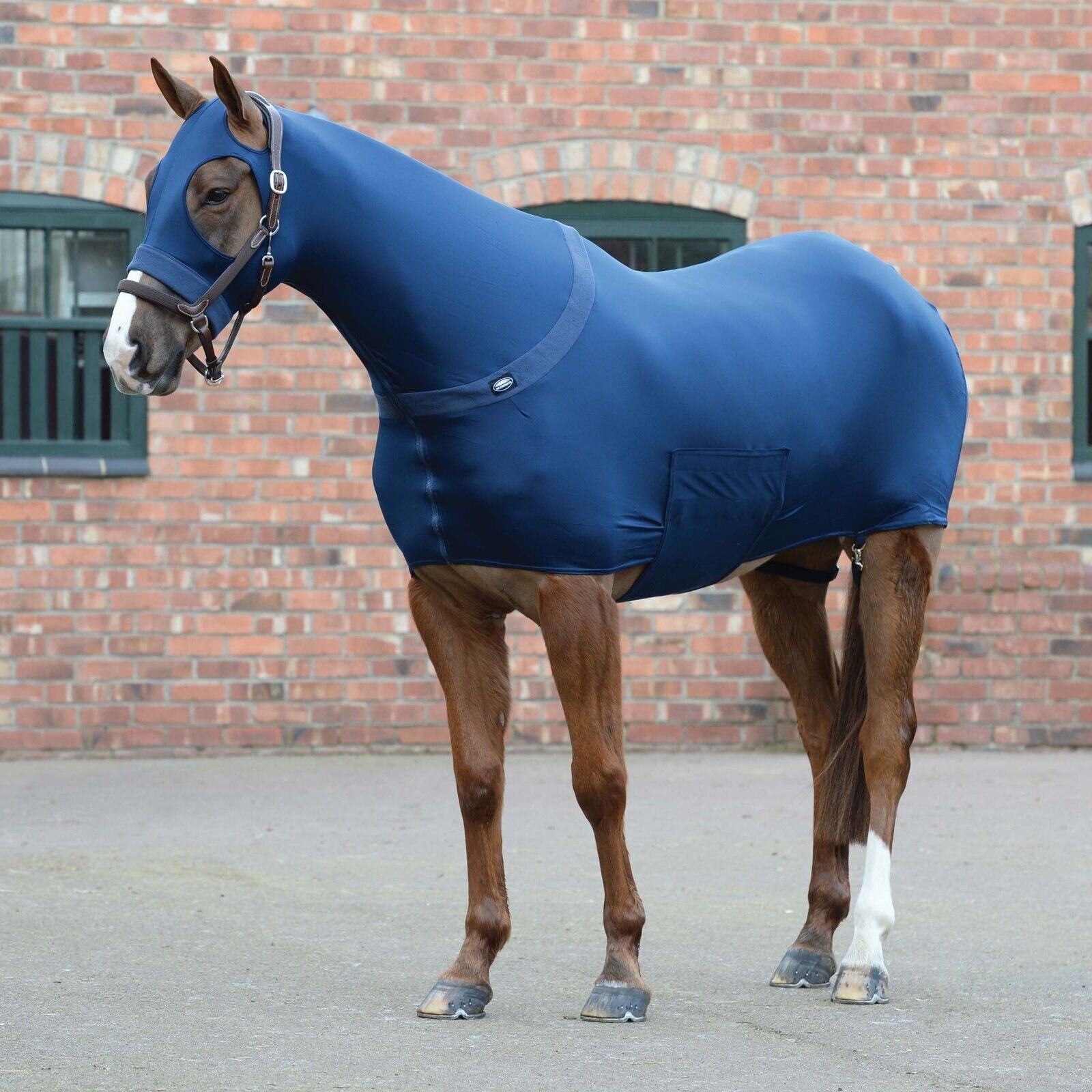 Picture of Weatherbeeta Stretch Rug, Body Wrap Body Suit , Show Prep Rug